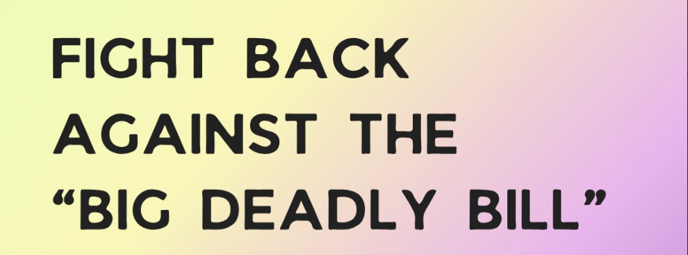 Pink and yellow ombre background. Black text says: “FIGHT BACK AGAINST THE “BIG DEADLY BILL"